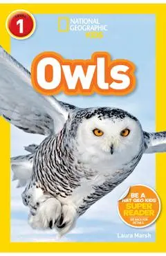 Owls - Laura Marsh