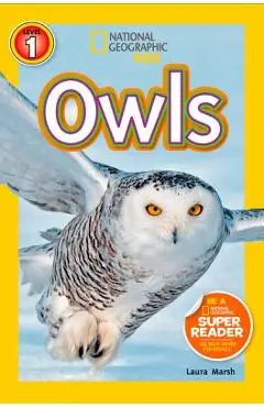Owls - Laura Marsh