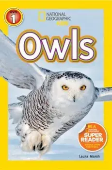 Owls, Paperback/Laura Marsh