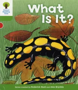 Oxford Reading Tree: Level 2: More Patterned Stories A: What Is It?, Paperback/Roderick Hunt