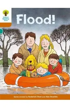 Oxford Reading Tree: Level 8: More Stories: Flood!