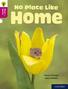 Oxford Reading Tree Word Sparks: Level 10: No Place Like Home, Paperback/Hawys Morgan