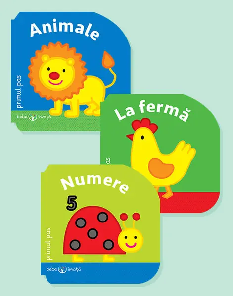 Pachet Bebe Primul Pas