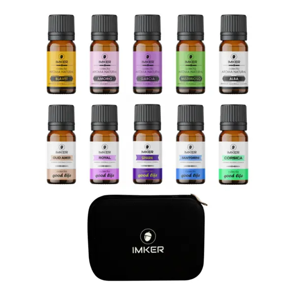Pachet geanta + 10 parfumuri 10 ml top aprecieri ambele colectii