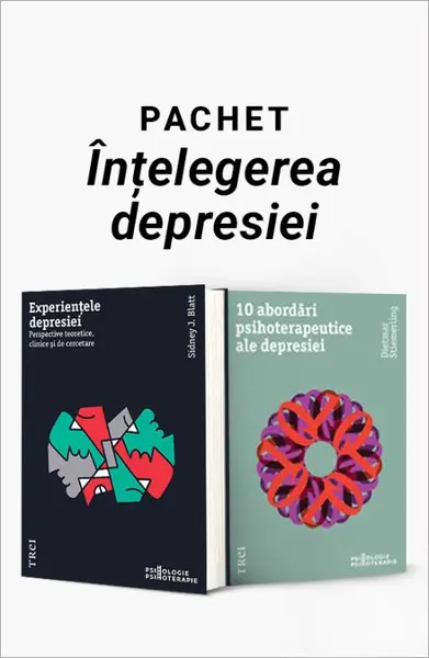 Pachet Înțelegerea depresiei. Experiențele depresiei/10 abordări psihoterapeutice ale depresiei - Sidney J. Blatt