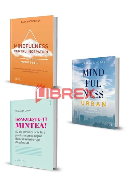 Pachet Mindfulnes. Set 3 carti