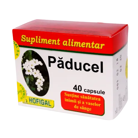Paducel 40 capsule