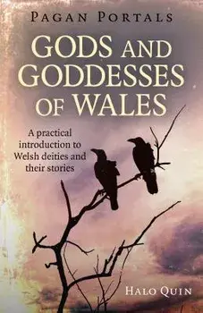 Pagan Portals - Gods and Goddesses of Wales: A Practical Introduction to Welsh Deities and Their Stories, Paperback/Halo Quin