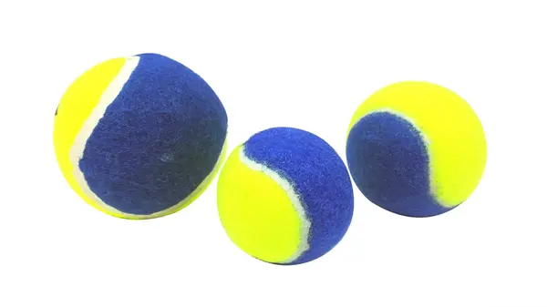 Paiatze Dog Minge Bicolor - paiatze,l