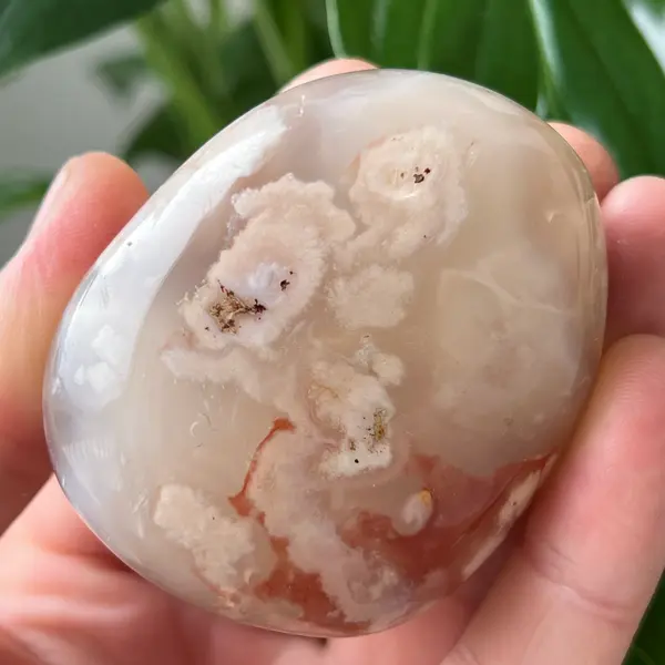 Palmstone agat coral floare rosu m9