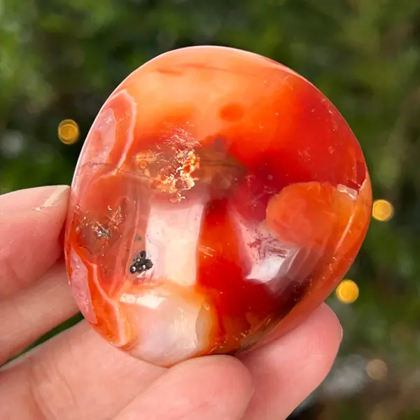 Palmstone carneol | Model 26