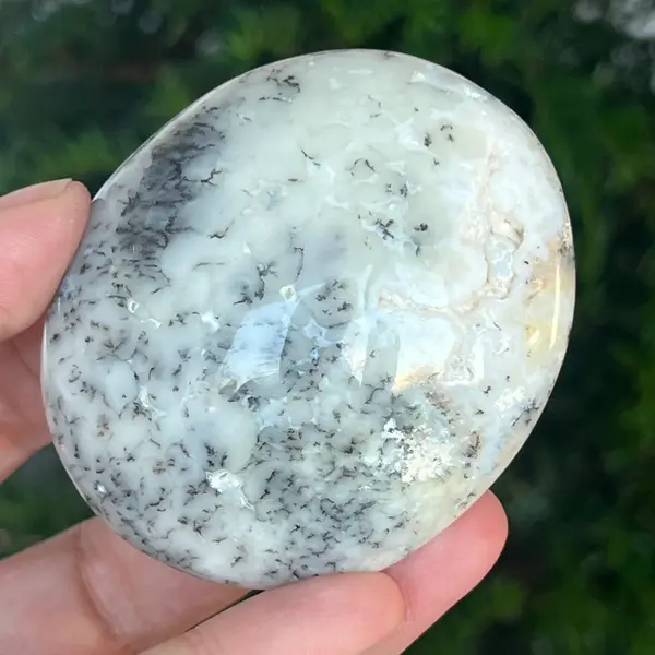 Palmstone opal alb dendritic | Model 10