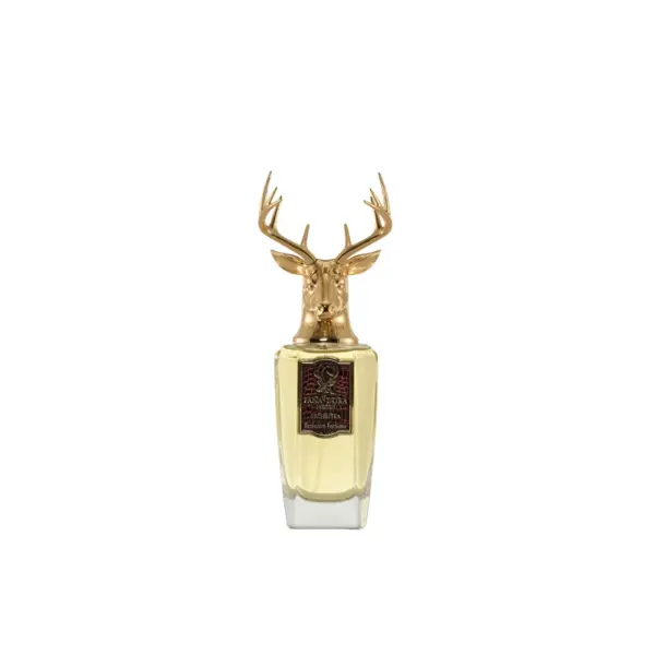 Pana Dora Orchestra Apă de Parfum Unisex EDP Volum 100 ml
