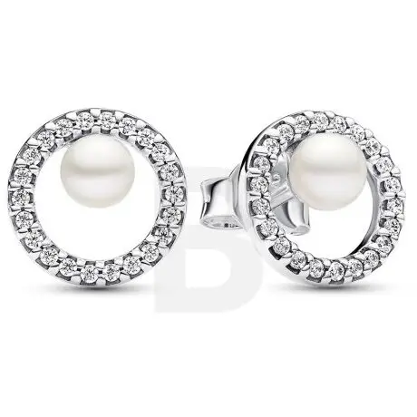 PANDORA Pandora Timeless 293154C01