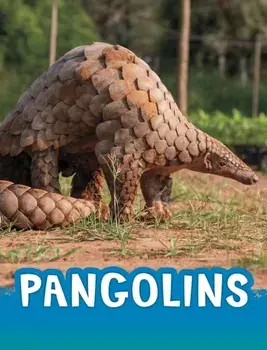 Pangolins, Paperback/Jaclyn Jaycox
