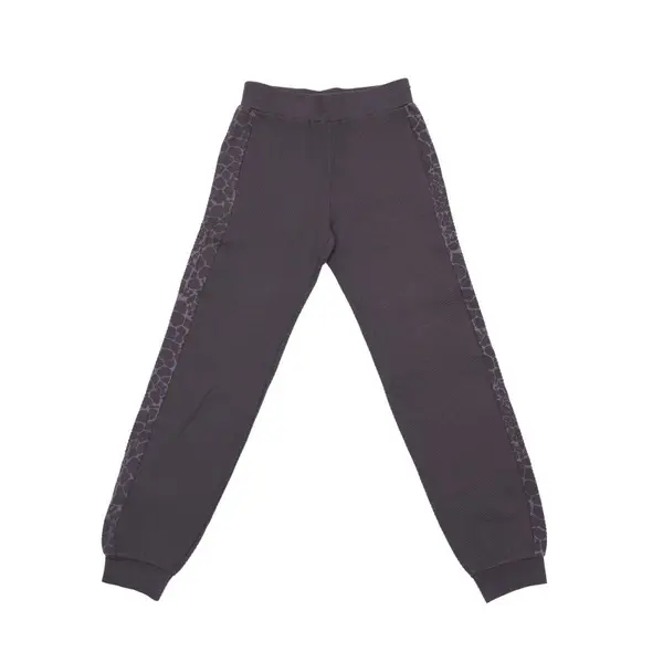 Pantaloni EA7 TRAIN GRAPHIC SERIES W PANTS CH ANIMALIER