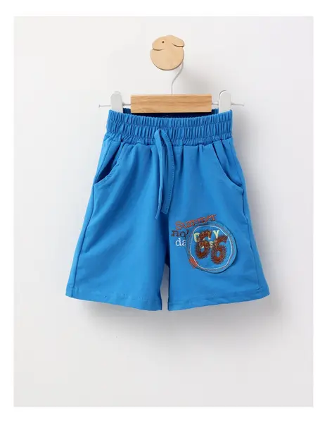 Pantaloni scurti Summer baietei albastru