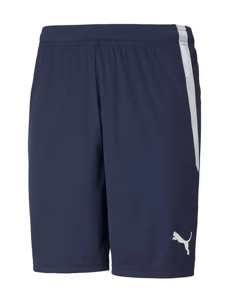 Pantaloni scurti Teamliga