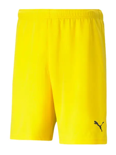 Pantaloni scurti Teamrise