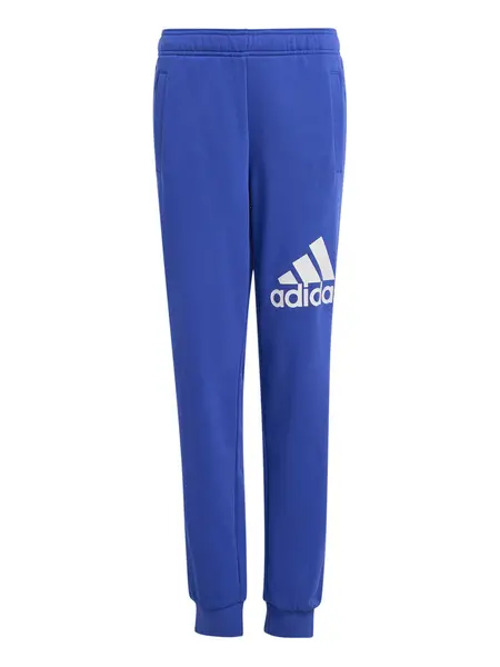 Pantaloni sport Essentials Regular Fit