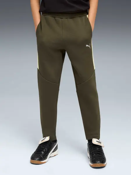 Pantaloni sport Evostripe Dk B