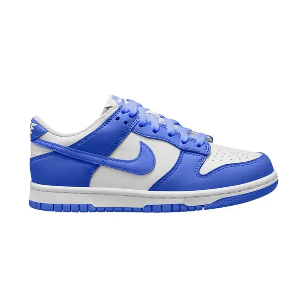 Pantofi sport Nike DUNK LOW (GS)