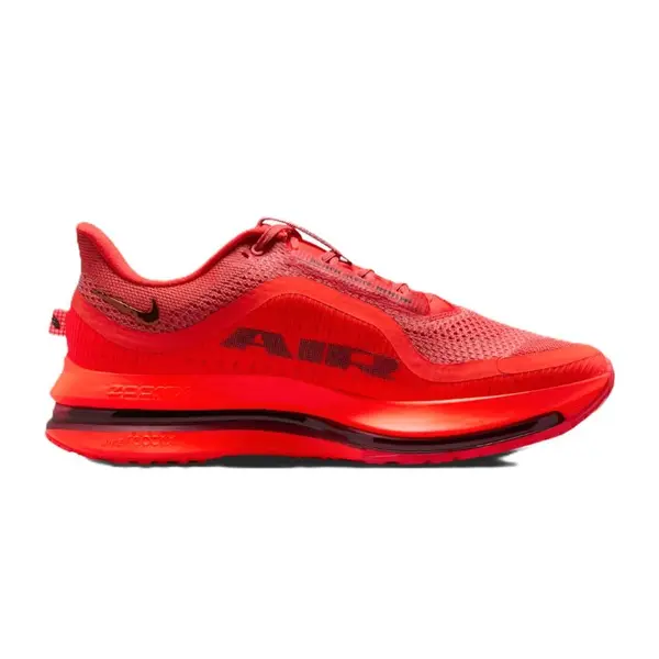 Pantofi sport Nike NIKE PEGASUS PREMIUM
