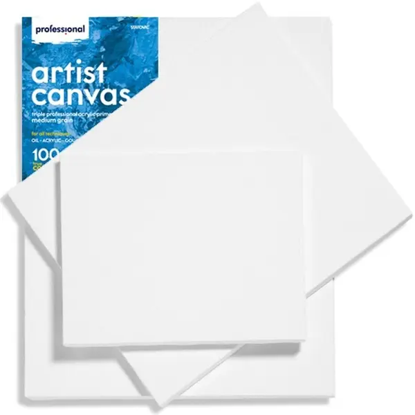 Pânză pentru pictură Professional - 20 x 30 cm