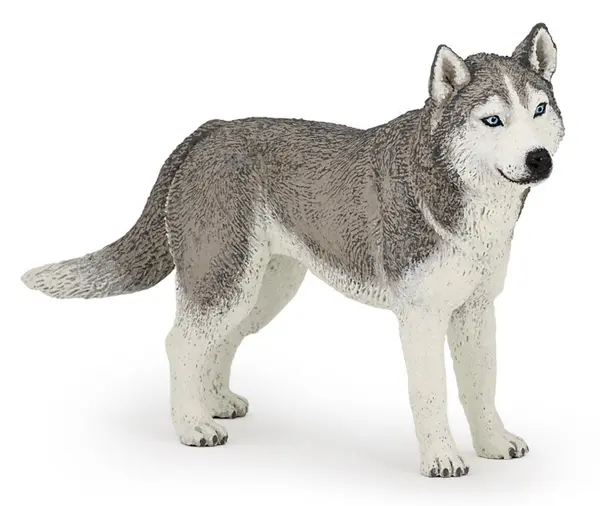 PAPO - Figurina Husky Siberian