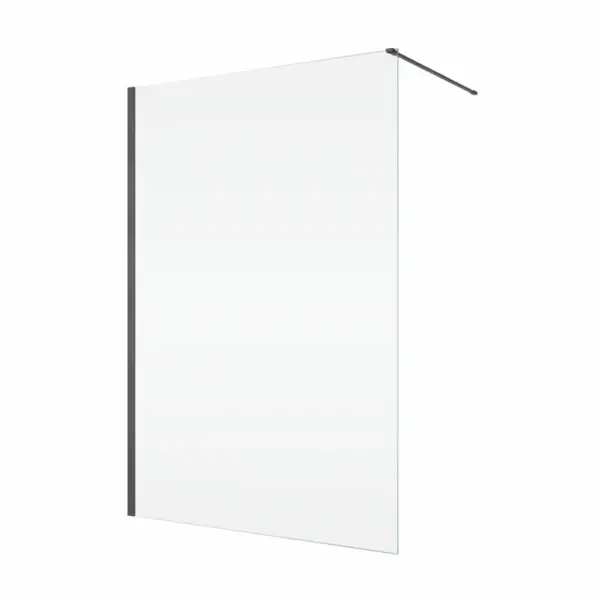 Paravan dus sticla walk-in 120x200 cm, gun metal periat, sticla 8 mm, Ronal Easy