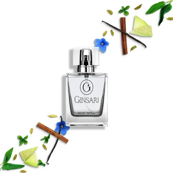 Parfum barbati Ginsari 94, Aromatic Fougere, 50 ml