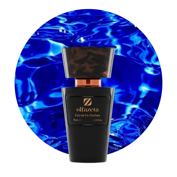 Parfum barbati nr 031 Chogan Olfazeta 70 ml