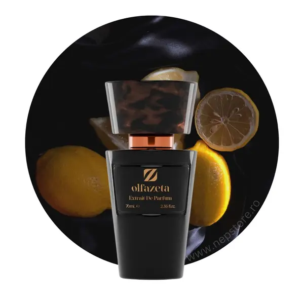 Parfum barbati nr 033 Chogan Olfazeta 70 ml