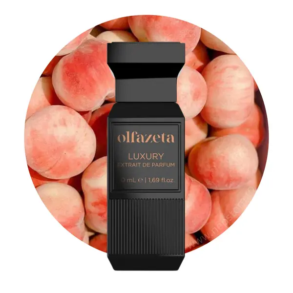 Parfum unisex luxury nr 134 Chogan 50 ml