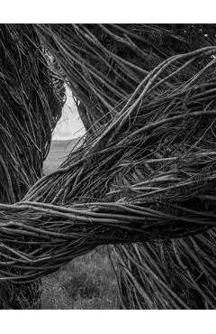 Patrick Dougherty James Florio: Sticks - Patrick Dougherty