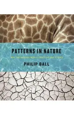 Patterns in Nature: Why the Natural World Looks the Way It Does - Philip Ball