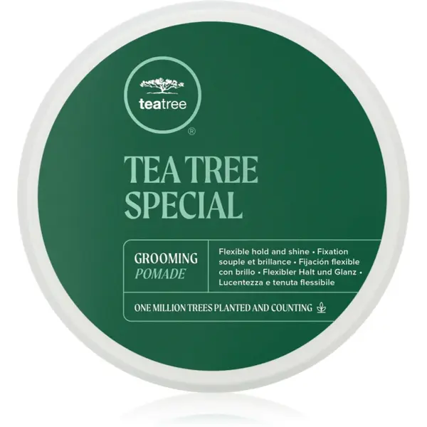 Paul Mitchell Tea Tree Special Grooming Pomade alifie pentru par pentru definire si modelare 85 g