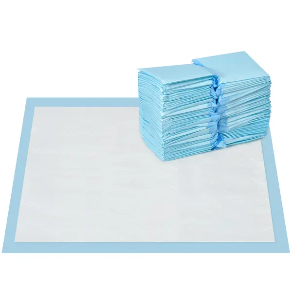 PawHut Set 100 Covoare Absorbante pentru Câini cu 6 Straturi, Covoare Igienice pentru Câini, 45x60 cm, Albastru | Aosom Romania