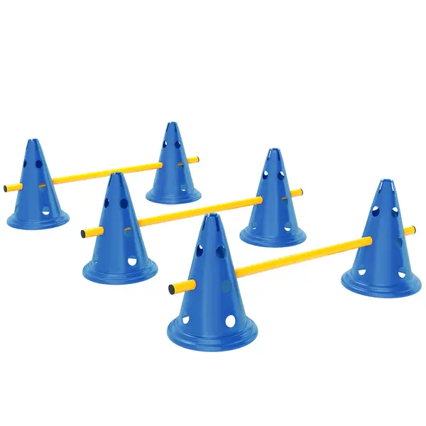 PawHut Set Agility pentru câini, echipament Agility 3 piese pentru dresajul câinilor, set cu 6 conuri, 3 obstacole, geantă de transport | Aosom Romania