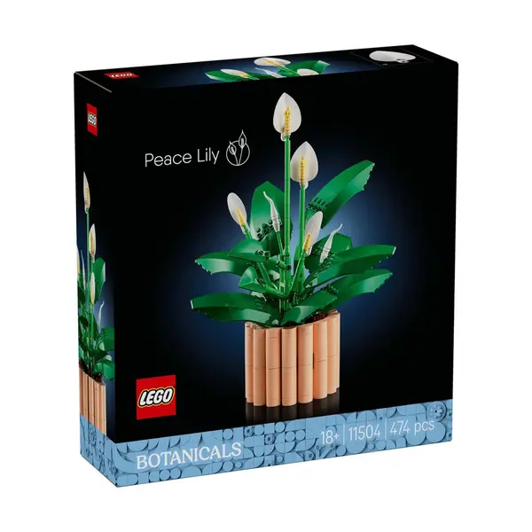 Peace lily 11504