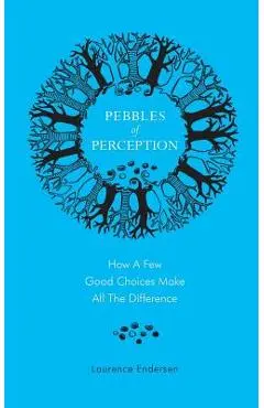 Pebbles of Perception: How a Few Good Choices make All the Difference - Laurence Endersen