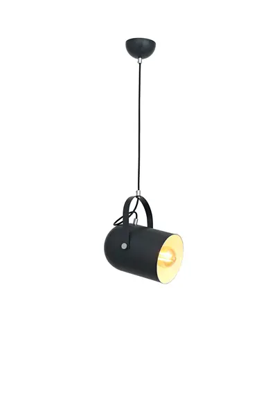 Pendul Catia 1XE27, negru, Oktay