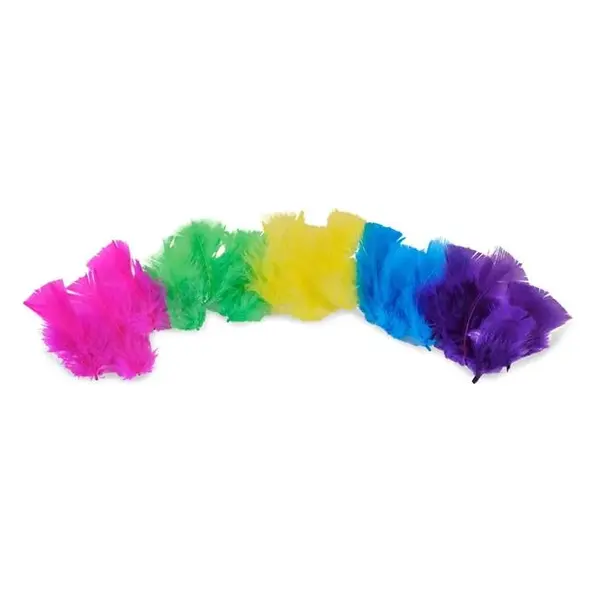 Pene colorate pentru activitati crafts-30 bucati