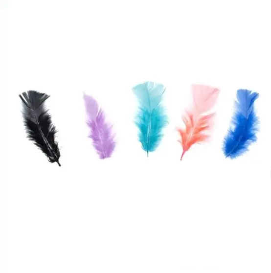 Pene colorate pentru activitati crafts-60 bucati