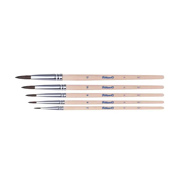 Pensule. 5buc/set, Starter seria 24, blister, Pelikan