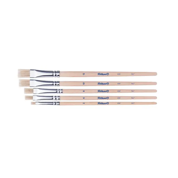 Pensule. 5buc/set, Starter seria 613F, blister, Pelikan