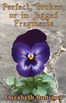 Perfect, Broken or in Jagged Fragments, Paperback/Elizabeth P. Buttimer