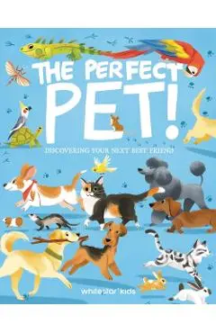 Perfect Pet! - Rachel|villa Foo