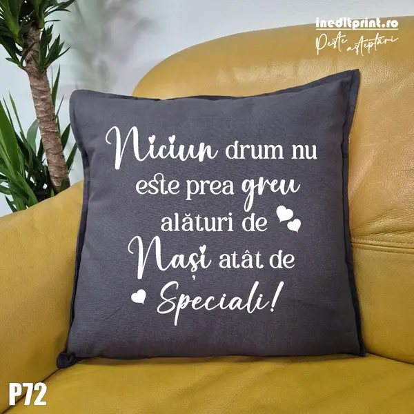Perna Speciala pentru Nasi - P72 Gri