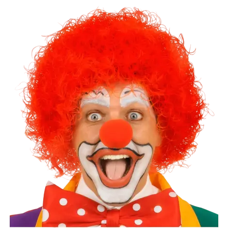 Peruca clown - rosie